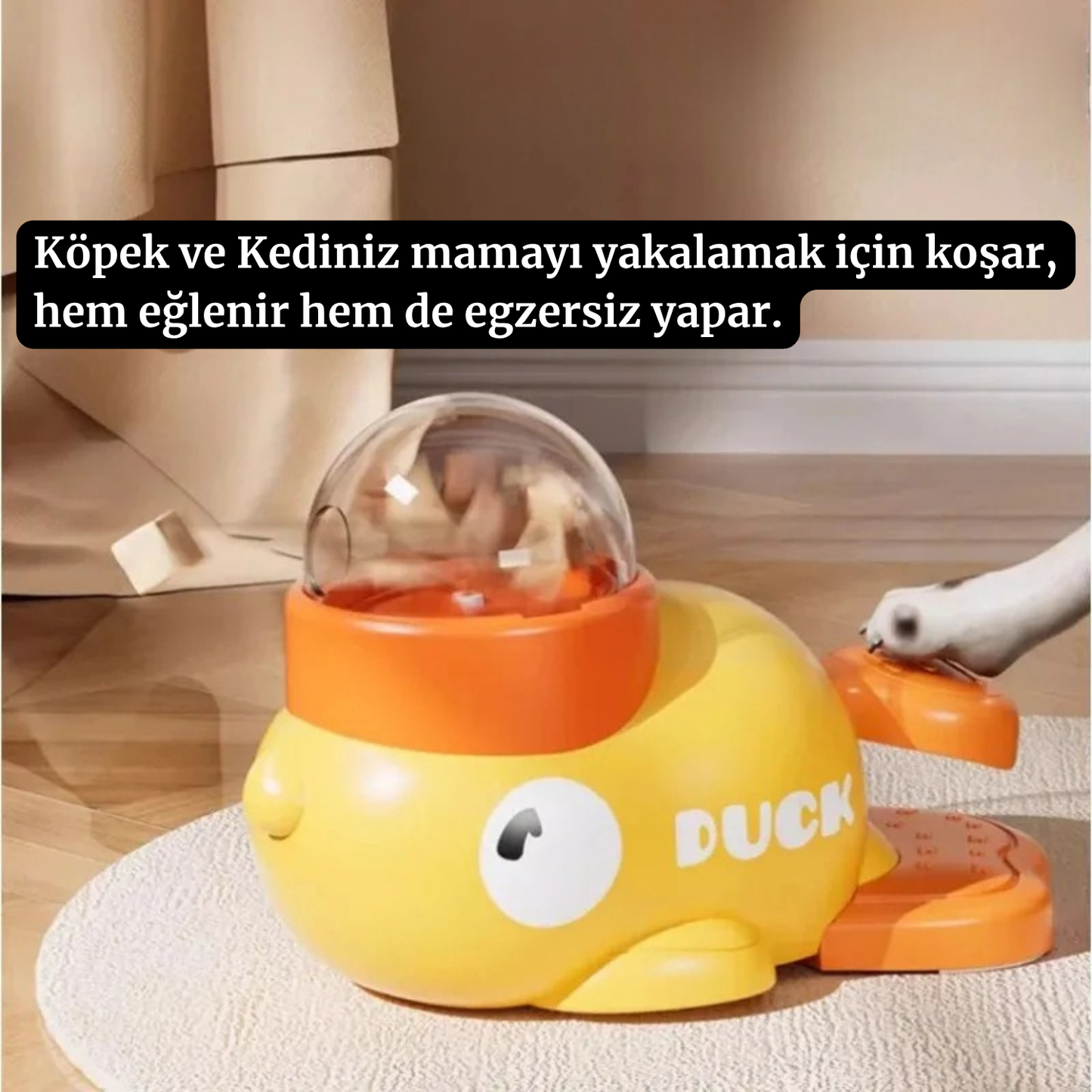 Ördek Şekilli Kedi-Köpek Besleyici Oyuncak